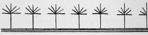 156-Signal-Stitch-246