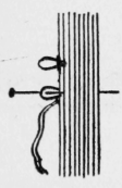 178-Thorn-Stitch-274