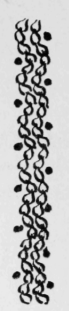 67-Double-Waved-Chain-And-Dot-Stitch-119