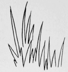 79-Fire-Stitch-137