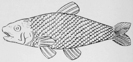 81-Fish-Scale-Stitch-139