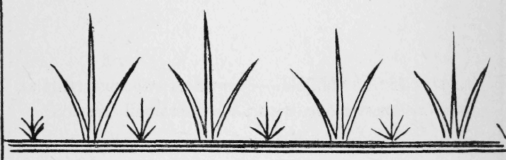 94-Grass-Stitch-154
