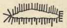Chapter V How To Make Bloomers 128