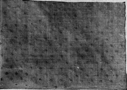 Imitation Dotted Swiss, Paste Dots Printed On.