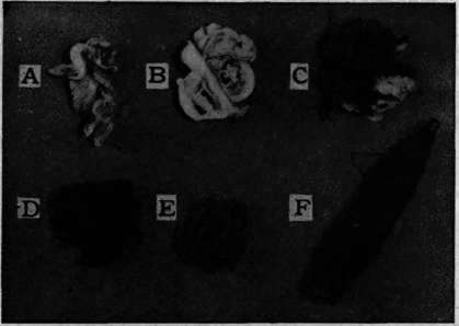 Process in Woolen Manufacture.