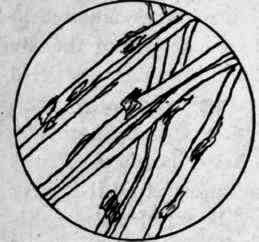 Raw Silk Fiber, Gum Adhering.