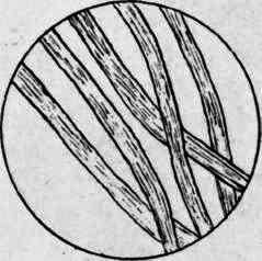 Wild Silk Fiber.