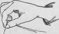 Fig. 2, B.