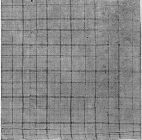 Fig. 33.   Oversewed patch. Upper or right side.