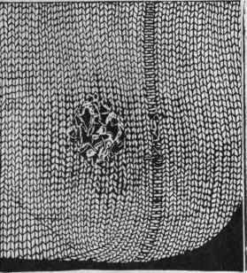 Fig. 63, B.