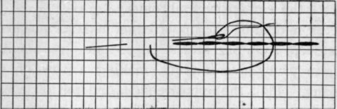 Fig. 117.