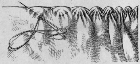 Fig. 33.