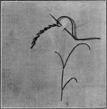 Figure 25.