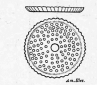 The Construction Of A Small Storage Cell 186