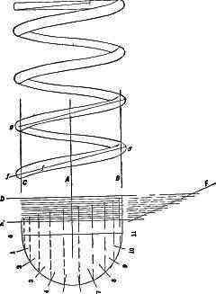 Fig. 216.