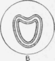 Channels of the Cams Formed with Strips of Brass Soldered to the Drum or Disk
