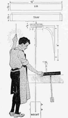 Developing Tray Rocker to Keep the Liquid in Motion over the Plate Automatically