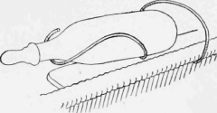 Nursing Bottle in Holder