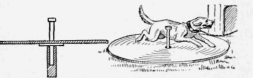 Revolving Disk Exerciser