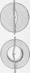 String and Ball Trick 638