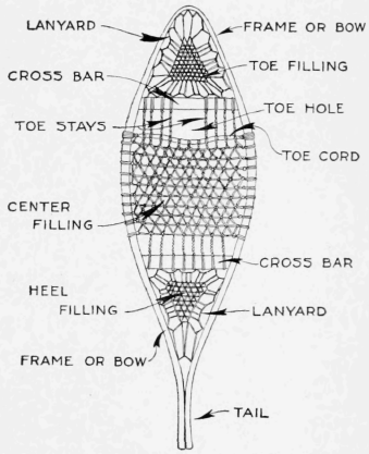 The Frame of a Snowshoe in Its Usual Construction, Showing the