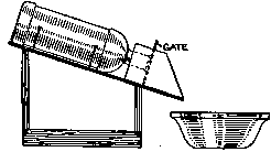 Bottle in Stand