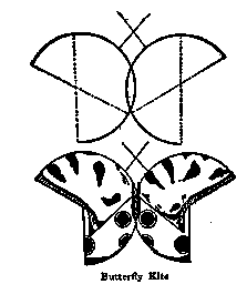 Butterfly Kite