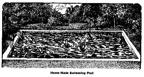 Home Made Swimming Pool