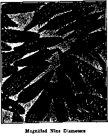 Magnified Nine Diameters