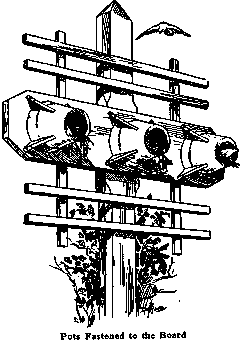 Pots Fastened to the Board