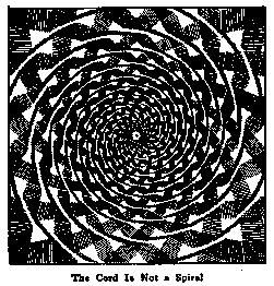 The Cord Is Not a Spiral