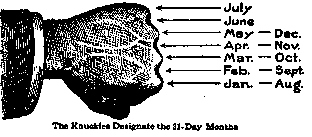 The Knuckles Designate the 31 Day Months