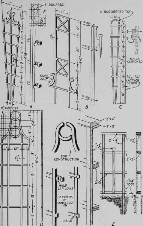 Various trellis designs suggested for home craftsmen. These can be modified in countless ways.