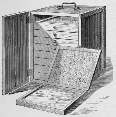Fish Spawn Carrying Apparatus