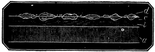 The Photographic Image What It Is 288 15a