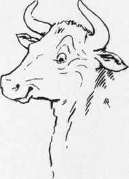 XIII The Story Of Little Fatima 18