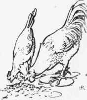 XIII The Story Of Little Fatima 19