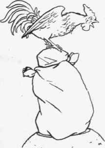 XIII The Story Of Little Fatima 20