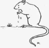 XLV The Sad Story Of The Beetle The Mouse And The  51