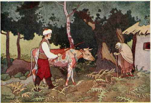 He drove the cow to the hut where he had passed the night