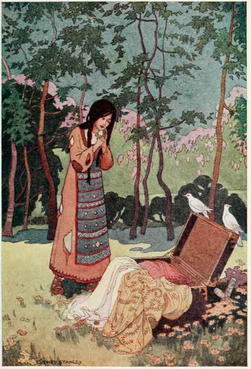 Papalluga Or The Golden Slipper 5