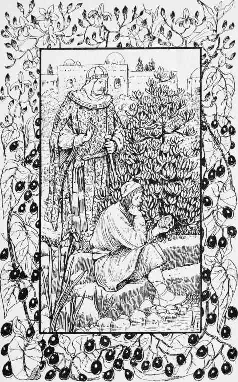 Tears Of Pearls Continued 49