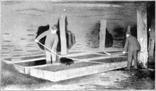 Figure 232. View in Akron