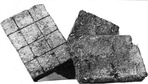 Figure 233. Brick spawn