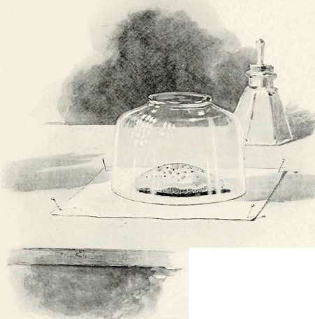 Making The Print
