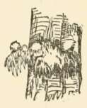 Hydnum. Page 95.