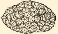Outer surface