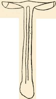 Section of A.