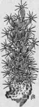 Fig. 203. Ball or Globe