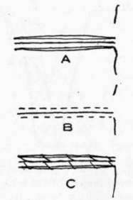 Fig. 100